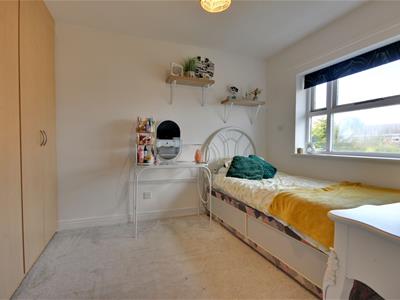 Picture 13